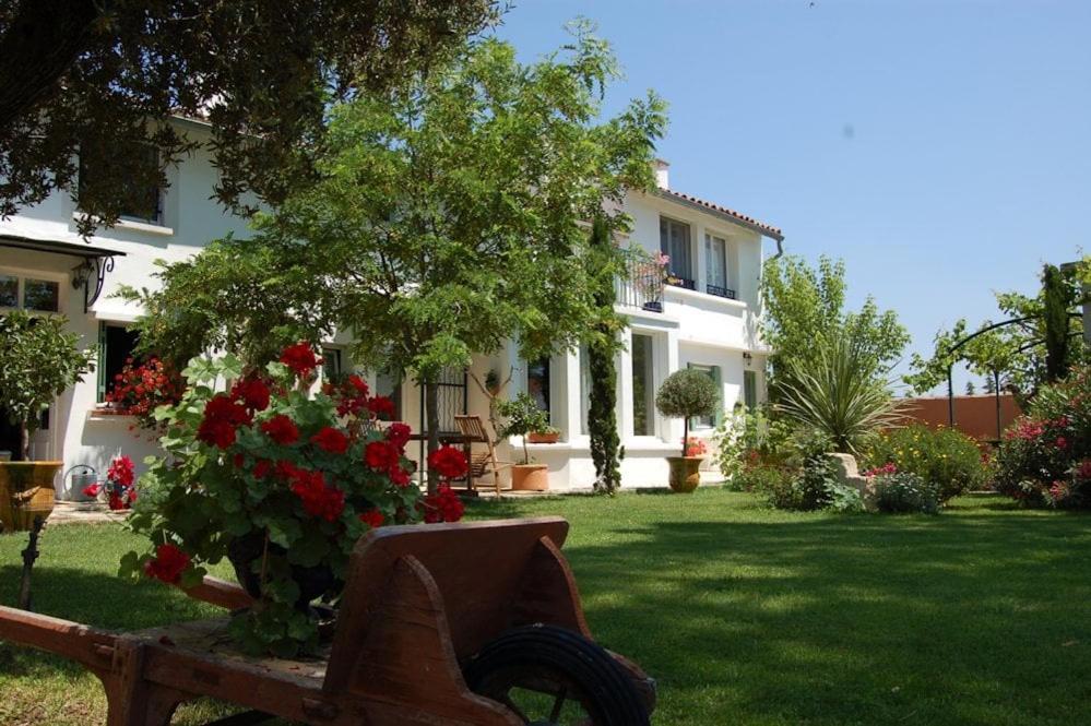 Chambre Seville - Mas Saint-Louis - Piscine Chauffee Aigues-Mortes Bagian luar foto